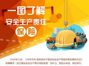一图了解安全生产责任保险 