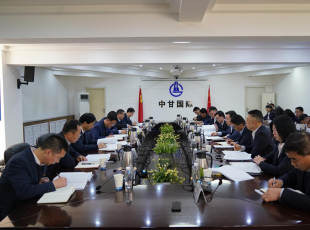 马明调研中甘国际